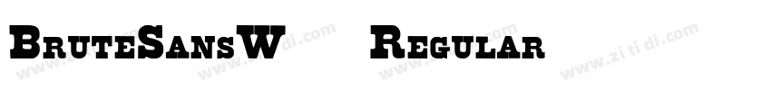 BruteSansW05 Regular字体转换